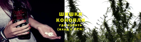 героин Алексин