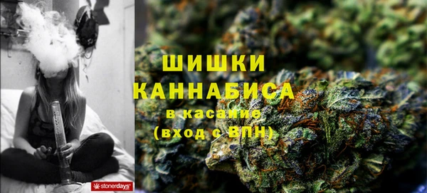 ГАЛЛЮЦИНОГЕННЫЕ ГРИБЫ Алзамай